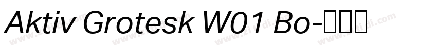 Aktiv Grotesk W01 Bo字体转换